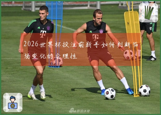 2026世界杯投注前新手如何判断临场变化的合理性