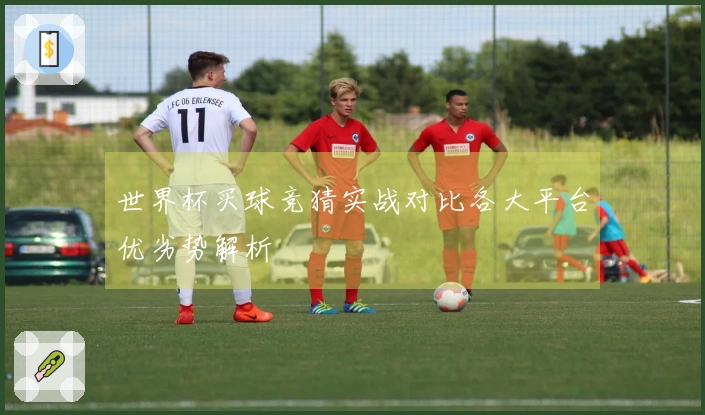 世界杯买球竞猜实战对比各大平台优劣势解析
