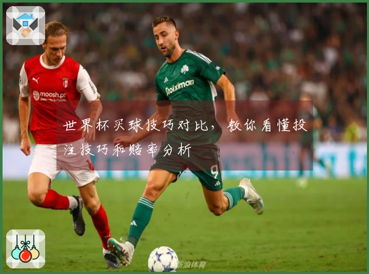 世界杯买球技巧对比，教你看懂投注技巧和赔率分析