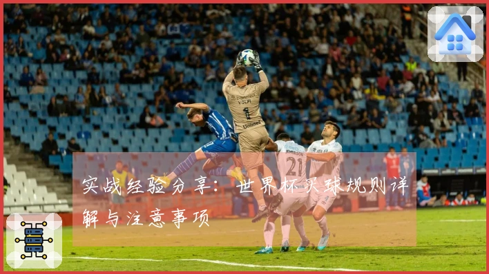 实战经验分享：世界杯买球规则详解与注意事项