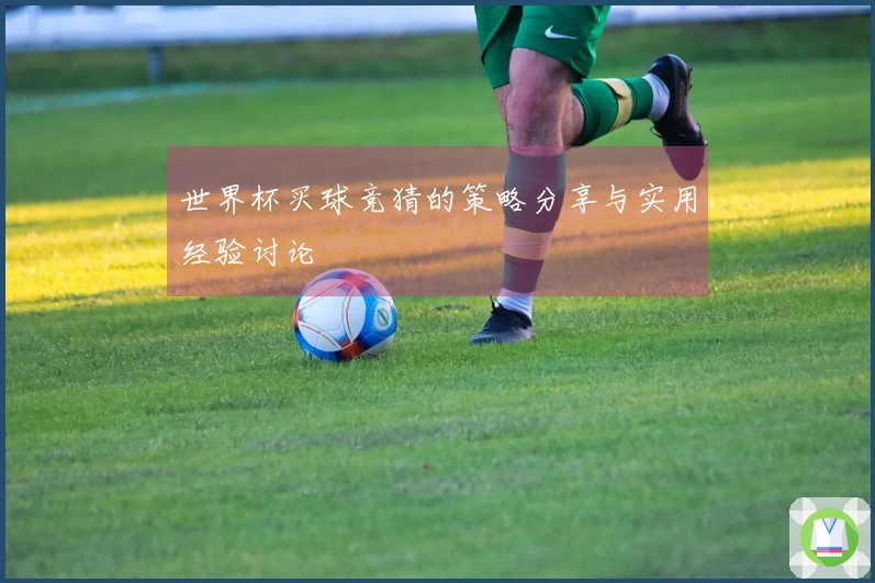 世界杯买球竞猜的策略分享与实用经验讨论