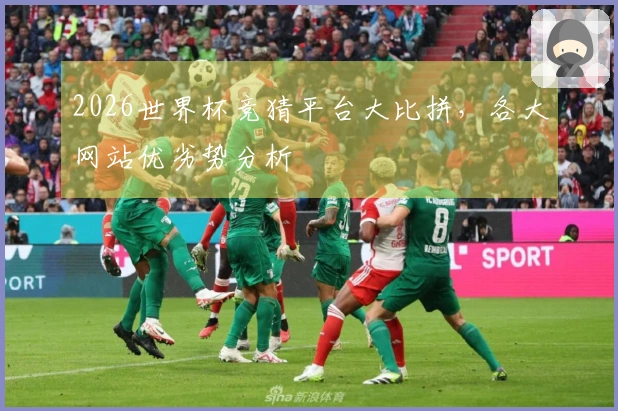 2026世界杯竞猜平台大比拼，各大网站优劣势分析