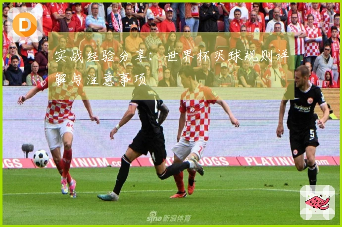 实战经验分享:世界杯买球规则详解与注意事项
