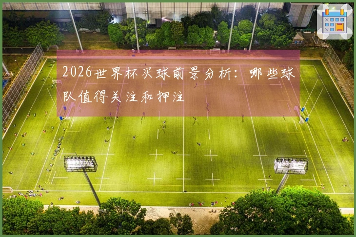2026世界杯买球前景分析：哪些球队值得关注和押注