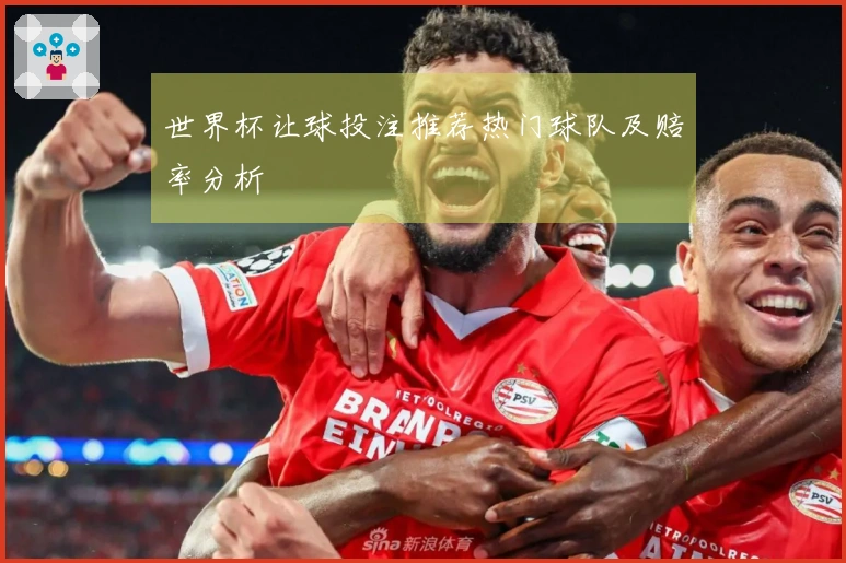 世界杯让球投注推荐热门球队及赔率分析