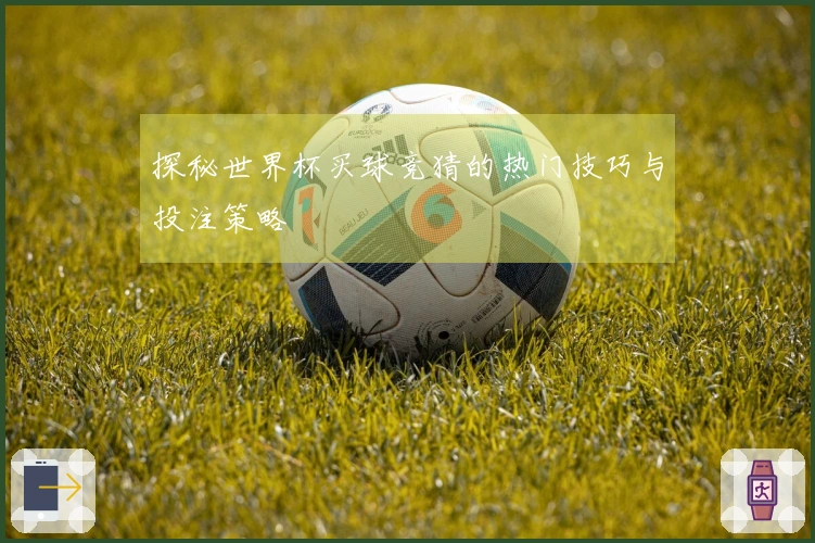 探秘世界杯买球竞猜的热门技巧与投注策略