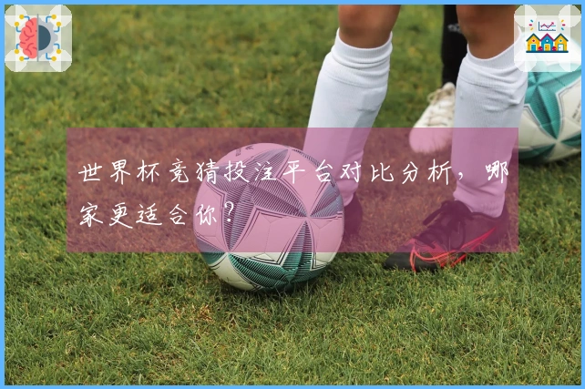 世界杯竞猜投注平台对比分析,哪家更适合你?