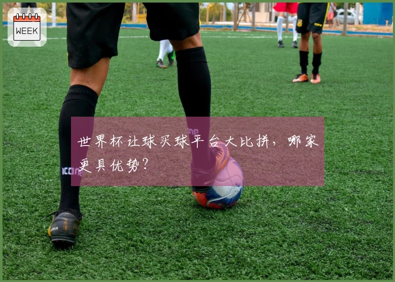 世界杯让球买球平台大比拼，哪家更具优势？