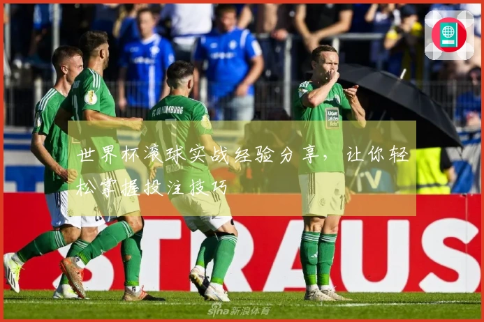 世界杯滚球实战经验分享，让你轻松掌握投注技巧