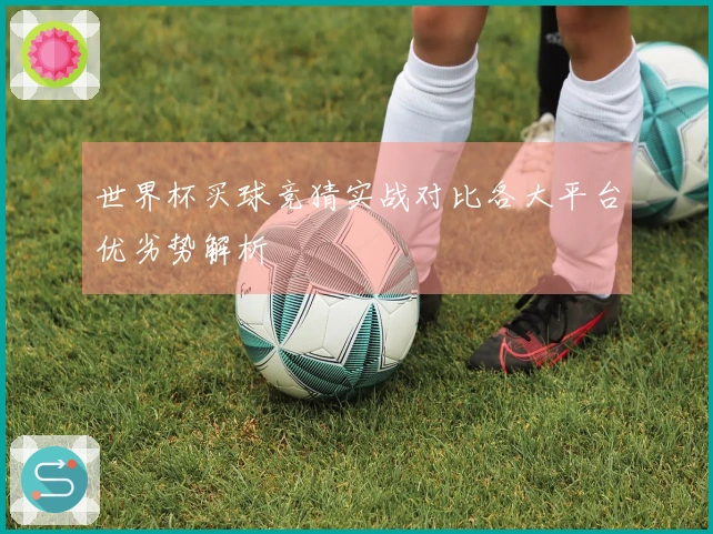 世界杯买球竞猜实战对比各大平台优劣势解析