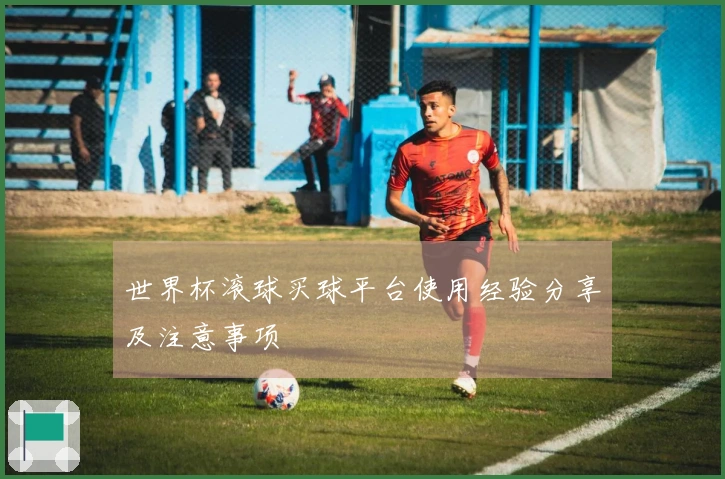 世界杯滚球买球平台使用经验分享及注意事项