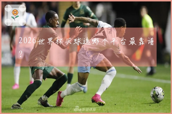 2026世界杯买球选哪个平台最靠谱?