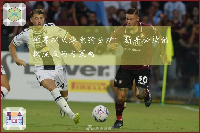 世界杯买球竞猜分析：新手必读的投注技巧与策略