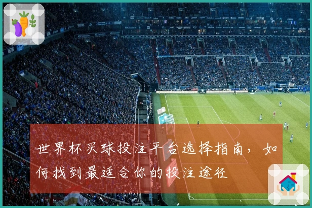 世界杯买球投注平台选择指南，如何找到最适合你的投注途径