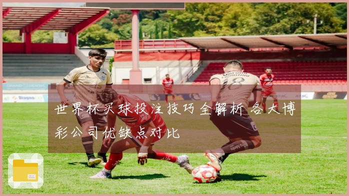 世界杯买球投注技巧全解析 各大博彩公司优缺点对比